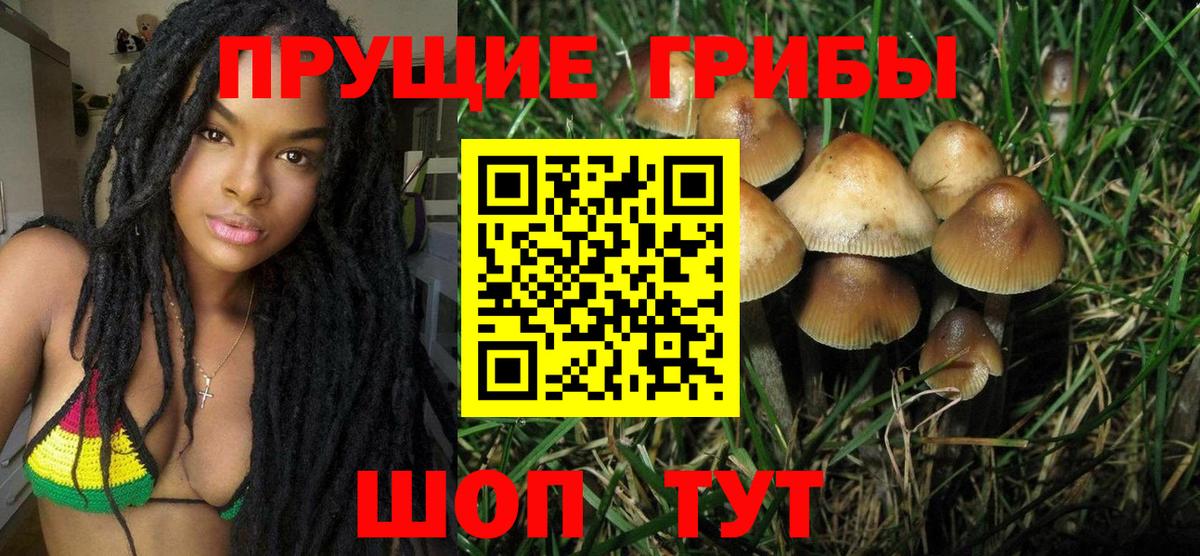 Галлюциногенные грибы мицелий  Вход с VPN  Сатка 