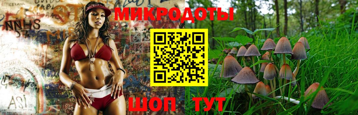 Псилоцибиновые грибы мухоморы  Сатка  Галлюциногенные грибы прущие грибы 